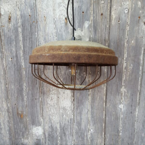 Industrial Caged Light