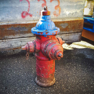 American Red & Blue Fire Hydrant
