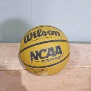 Wilson Basketball Full Size