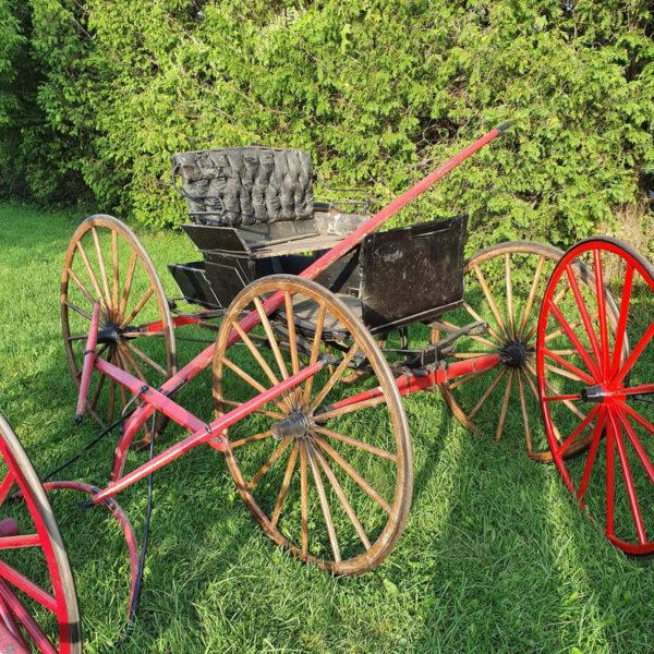 American Horse Drawn Buggy Amish Carriage Cart