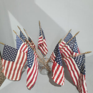 American Flag 50 Stars and Stripes on Sticks - Printed