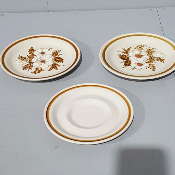 Stoneware Plates & Saucer Set