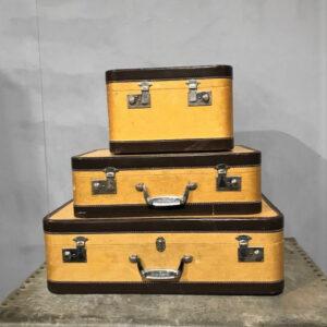 Set Of Matching Wheany Suitcases