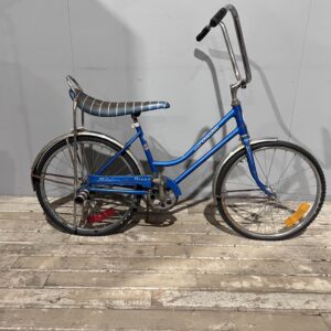 Blue Schwinn Bike