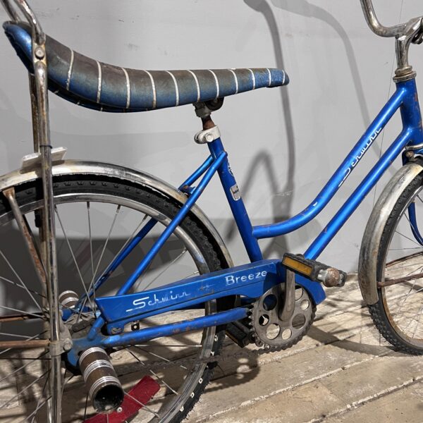 Blue Schwinn Bike