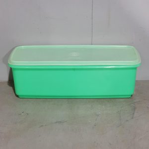 Tupperware Vegetable Container