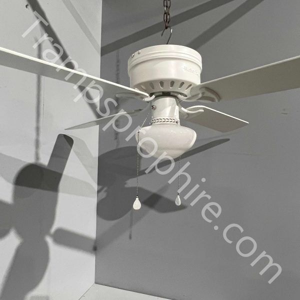 White American Ceiling Fans