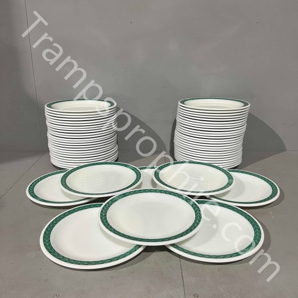 White and Green Dinner Plates