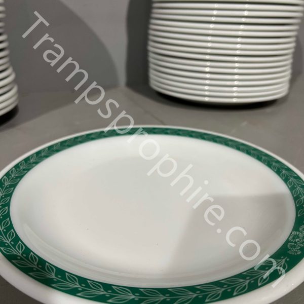 White and Green Dinner Plates