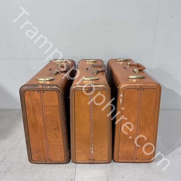 Tan Samsonite Suitcases