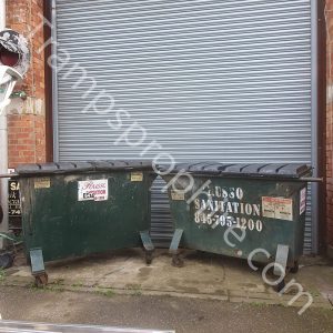 Original Green American Street Alley Dumpster
