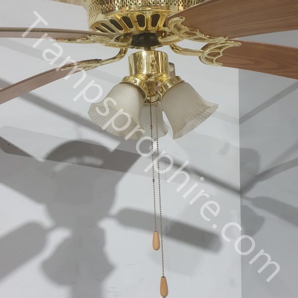 Light Wood American Ceiling Fan