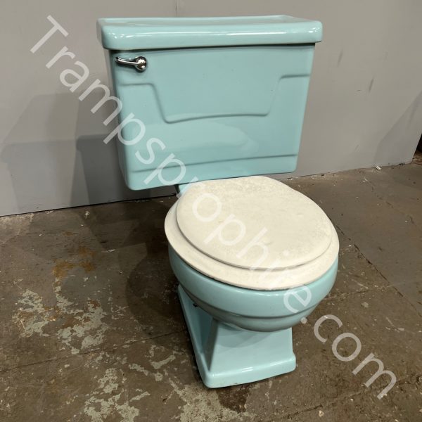 Blue Toilet