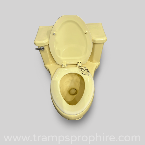 Yellow Toilet