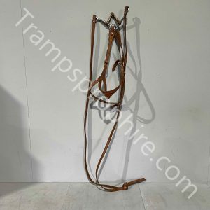 American Leather Horse Bridle