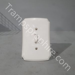 American Double Light Switch