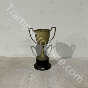 Sports Trophy