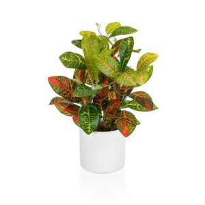 Artificial Croton in White Pot