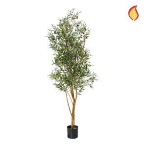 Artificial Olive Tree for Hire