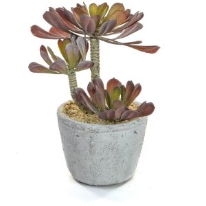 Artificial Succulent in Cement Pot