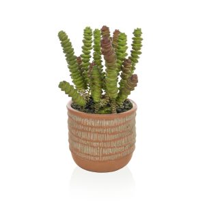 Artificial Succulents in Terracotta Pot
