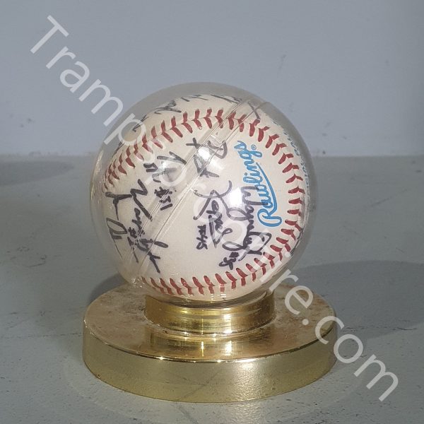 Autographed Baseballs in Stands