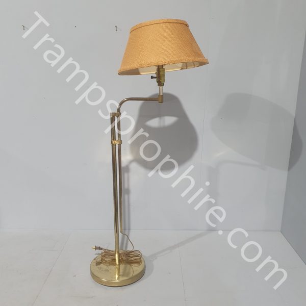 Brass Library Floor Lamp