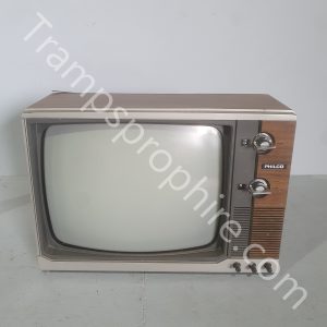 Portable TV