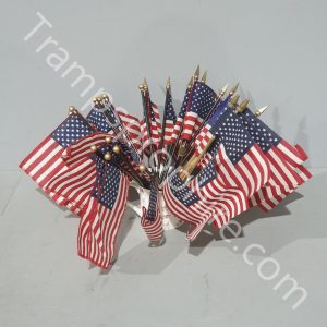 Small American 50 Star Pennant Flags
