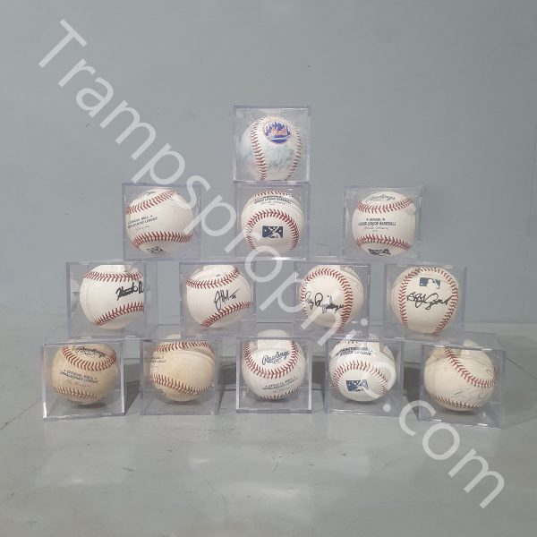 Autographed Baseball In Perspex Case