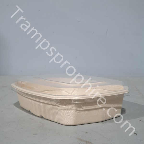Cardboard Food Container With Plastic Lid