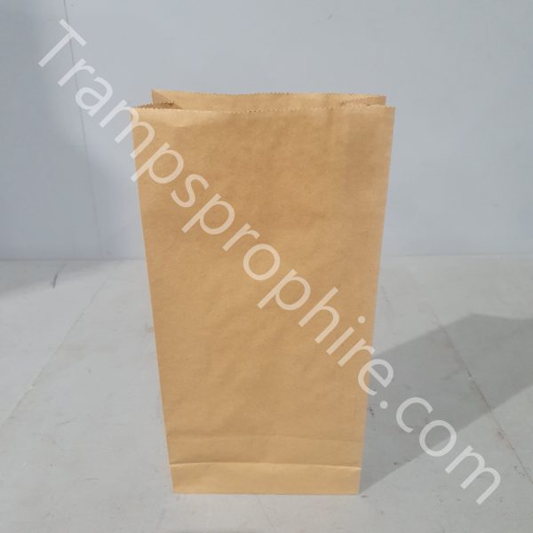 Pack Of 20 Small Paper Grocery Bags