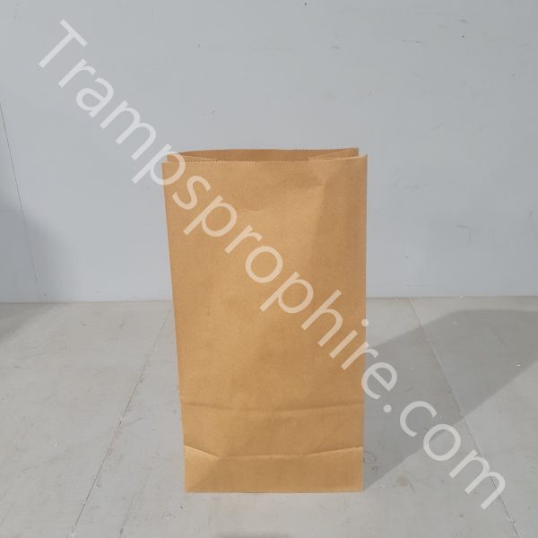 Pack Of 25 Small Paper Grocery Store Bags