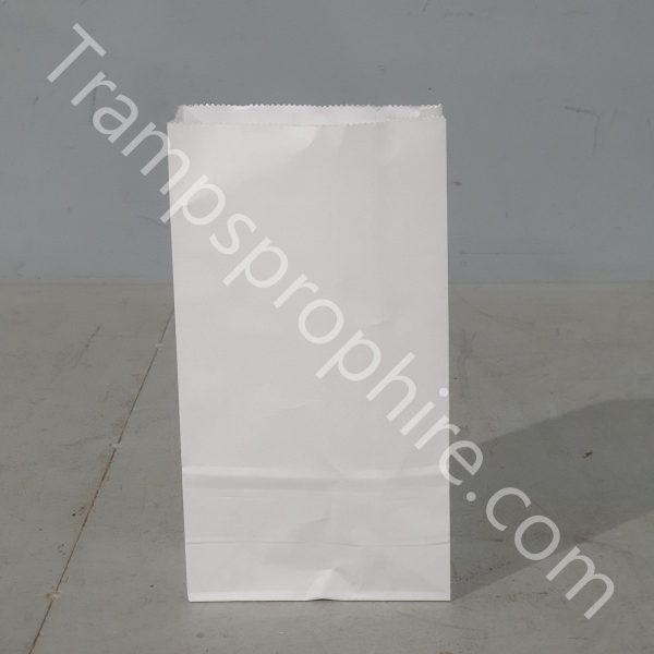 Pack of 20 White Paper Store Bags