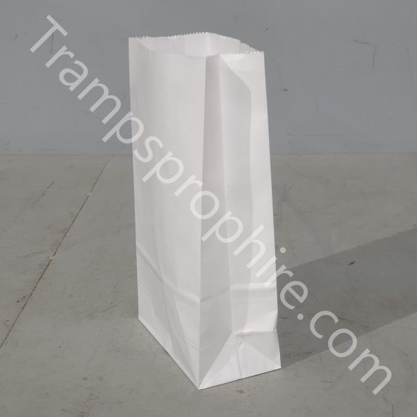 Pack of 20 White Paper Store Bags