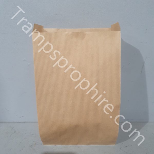 Pack of 25 Brown Paper Grocery Store Bags