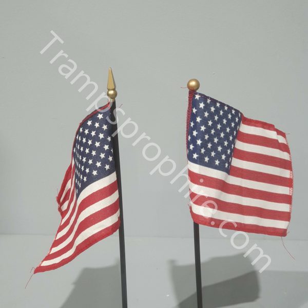 American 50 Star Pennant Desk Flags