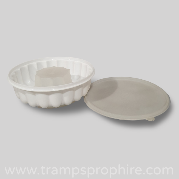 Tupperware Jelly Mould