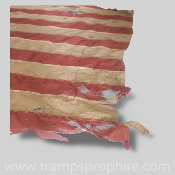 American Flag 48 Stars and Stripes Battle Worn- Printed