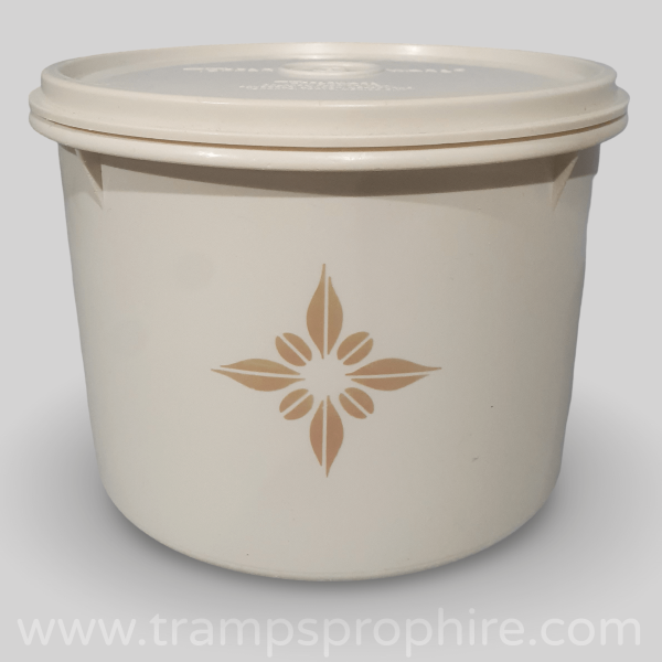 Tupperware Container